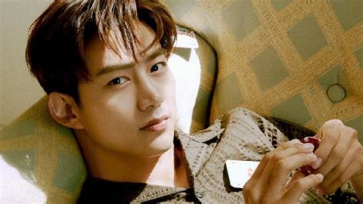 2PM&rsquo;s Taecyeon