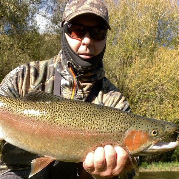 Aaron Trout