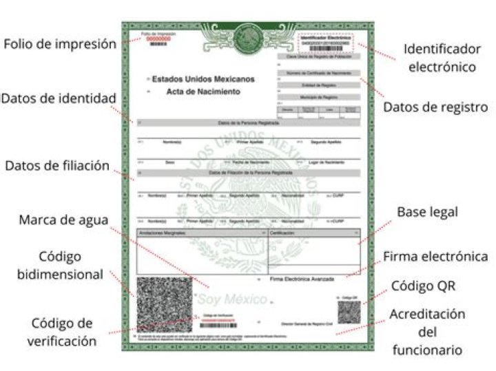 Acta Acta