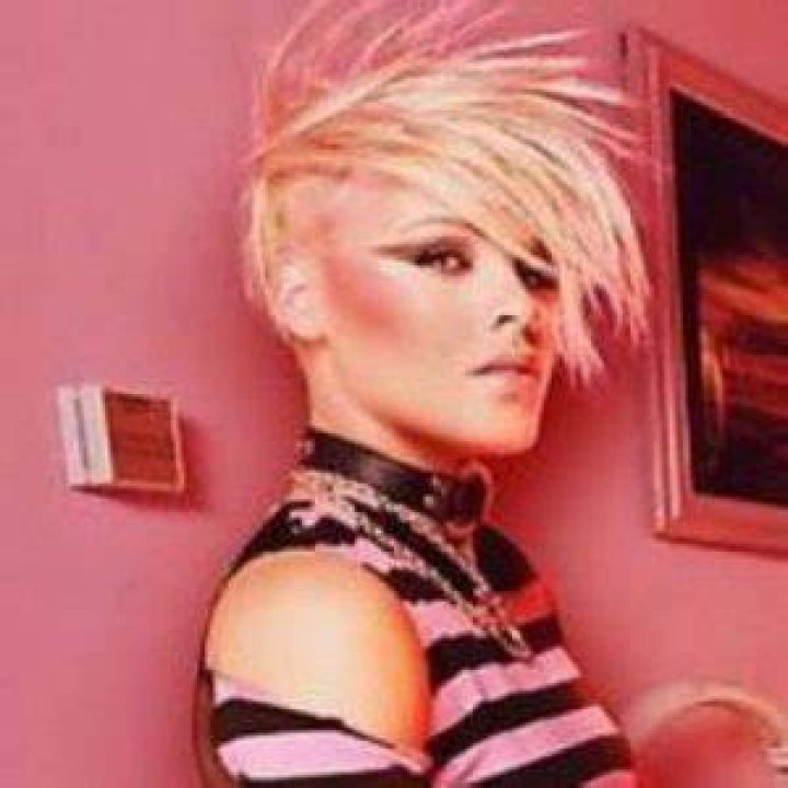 Alecia Beth Moore | Bio, Age, Net Worth, Relationship, Career