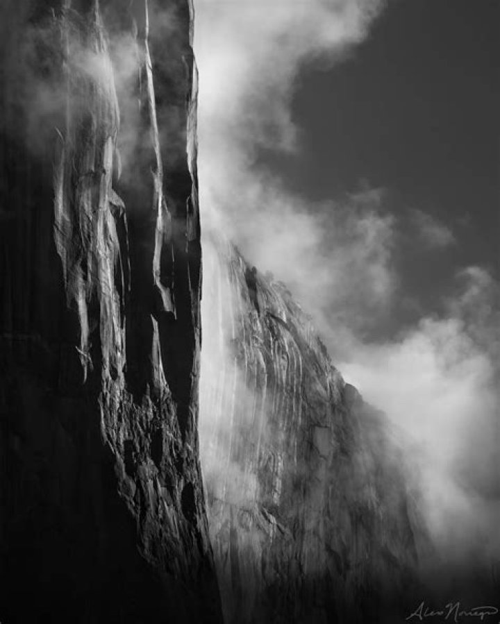 Alex Noriega