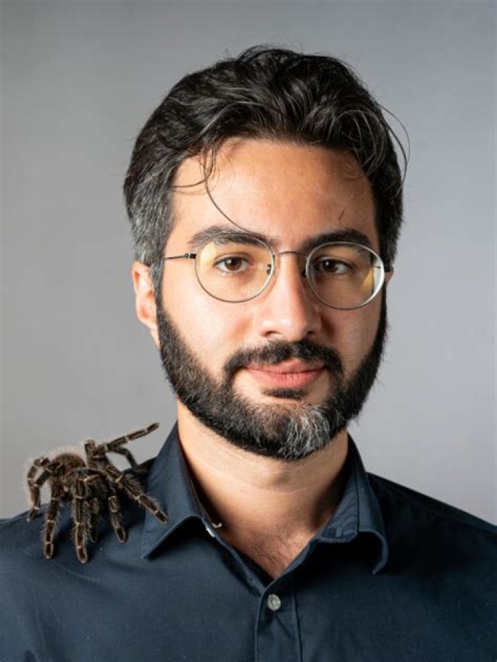 Alireza Zamani