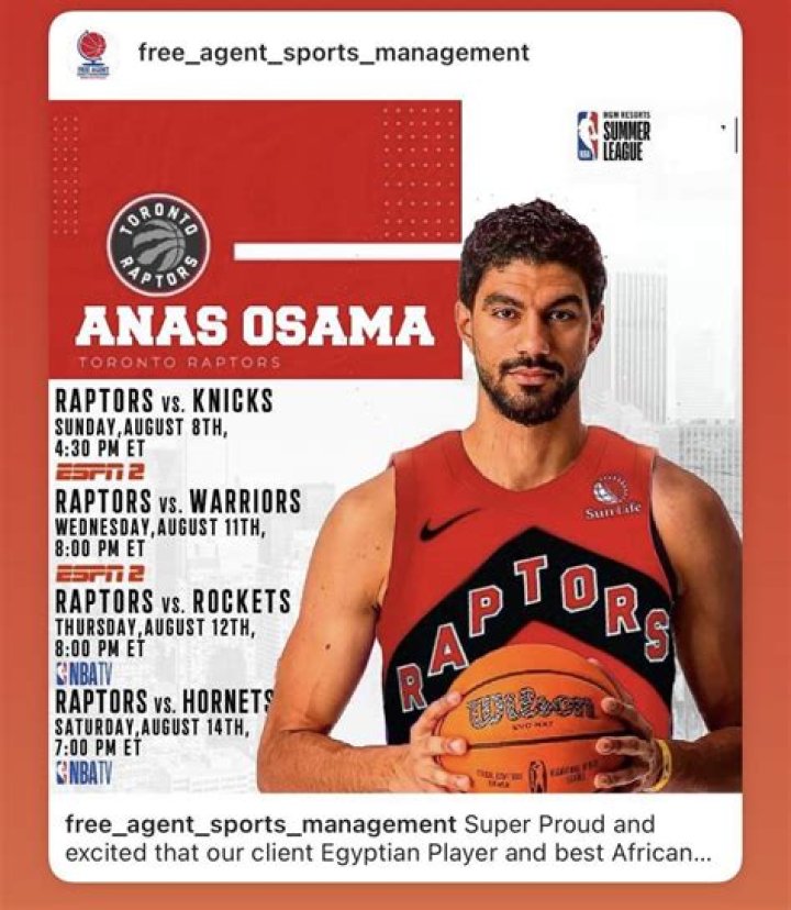 Anas Osama Mahmoud
