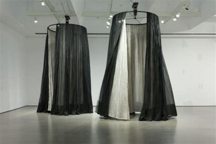 Ann Hamilton