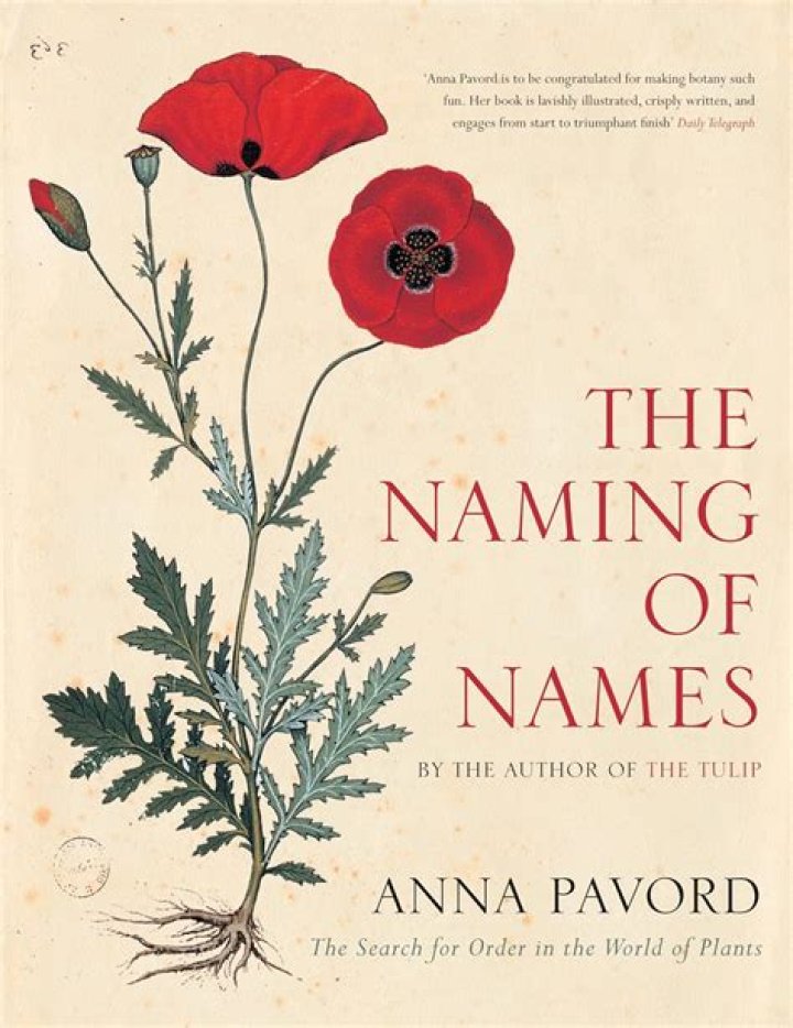 Anna Pavord