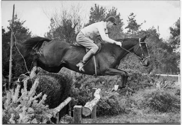 Bill Roycroft
