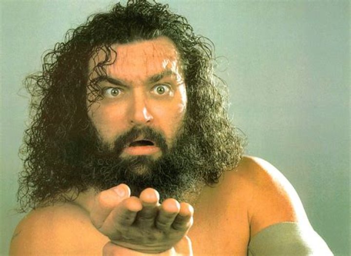 Bruiser Brody