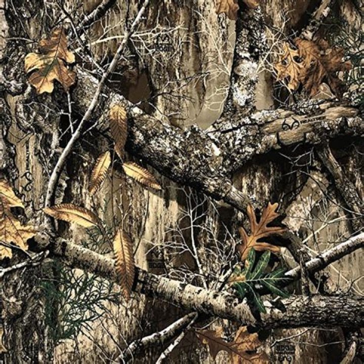 Camo