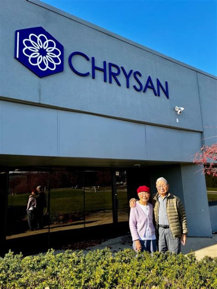 Chrysan