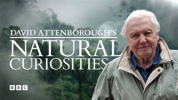 David Attenborough