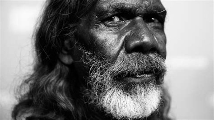 David Gulpilil
