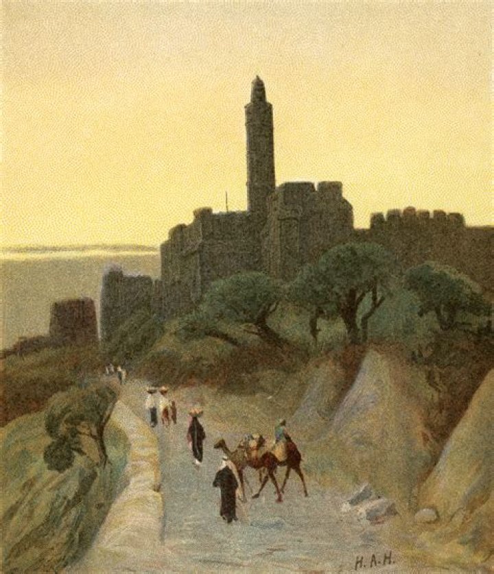David Tower