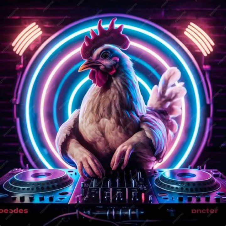 DJ Chicken