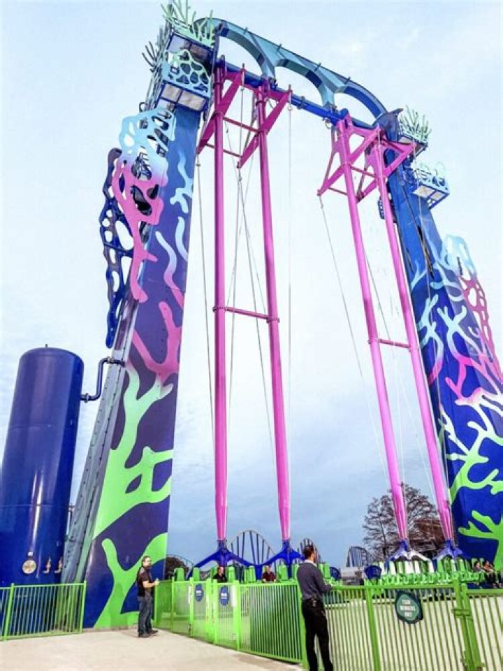 Emily Family Coaster