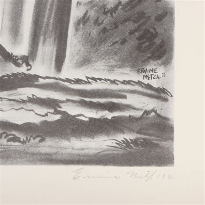 Ervine Metzl