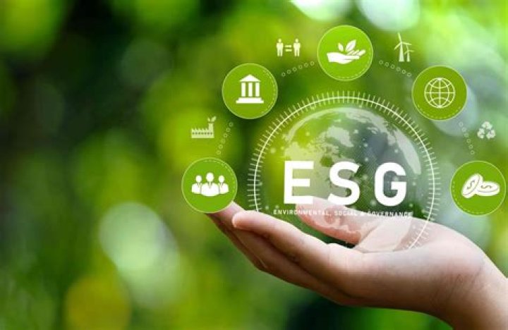 E.S.G.