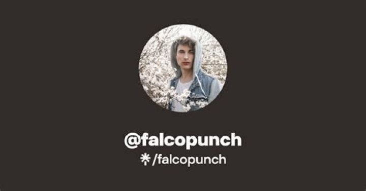 FalcoPunch