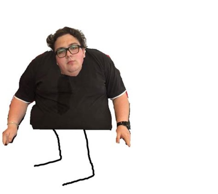 FattyPillow