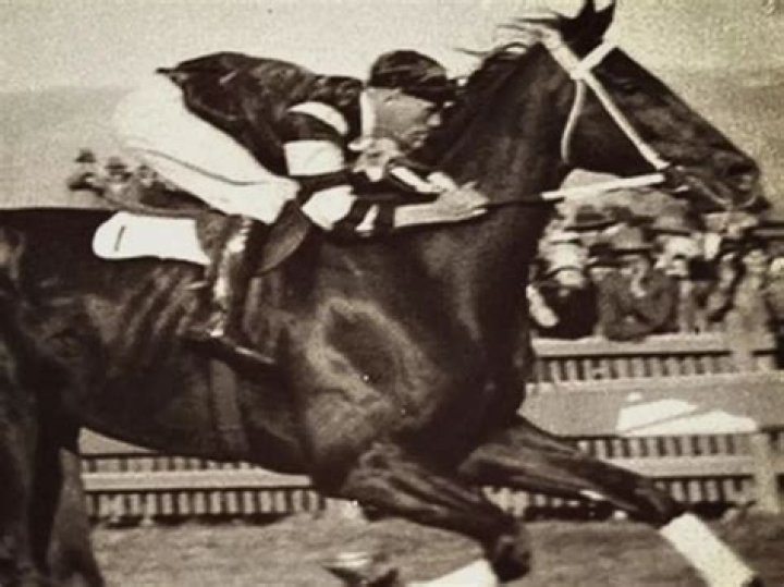 Frank Hays