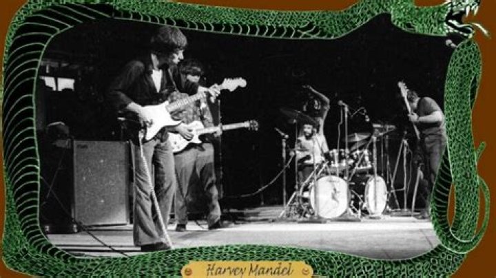 Harvey Mandel