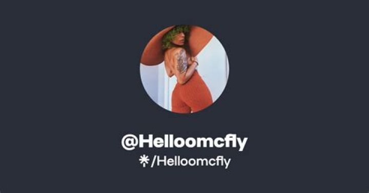 Helloomcfly