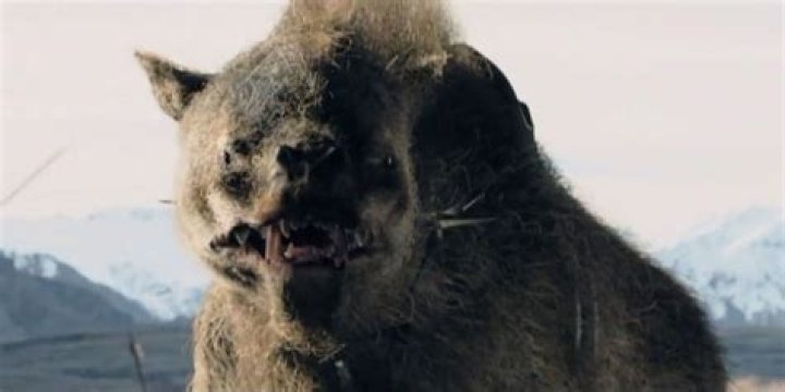 Henrik Warg