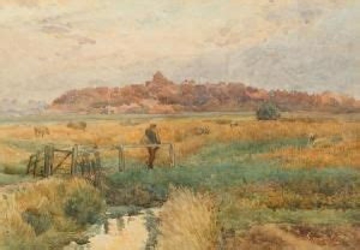 Henry Sheppard