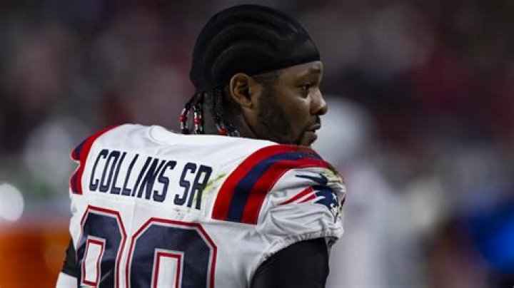 Jamie Collins