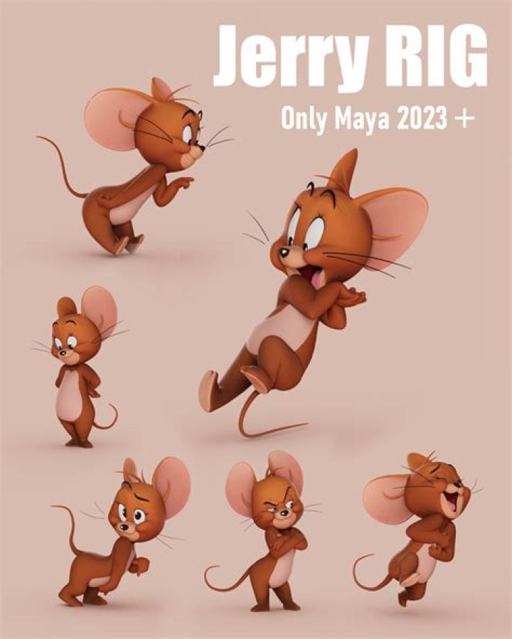 Jerry Rig