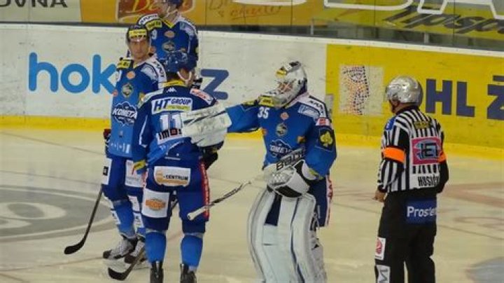 Jiř&iacute; Trvaj