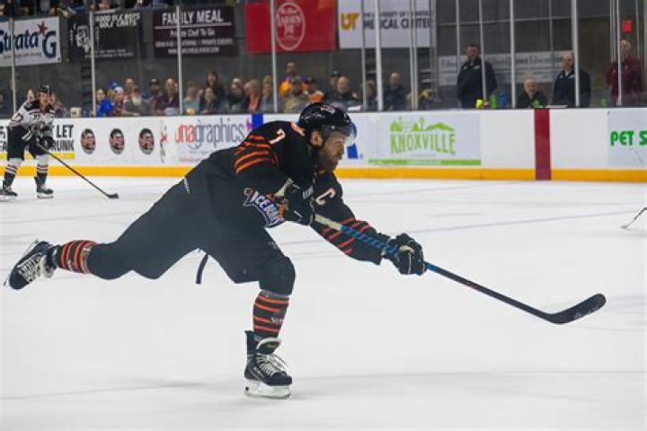 Justin MacDonald