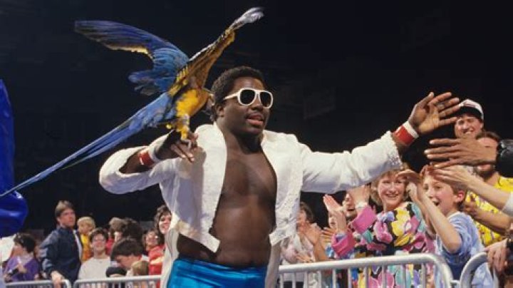 Koko B. Ware