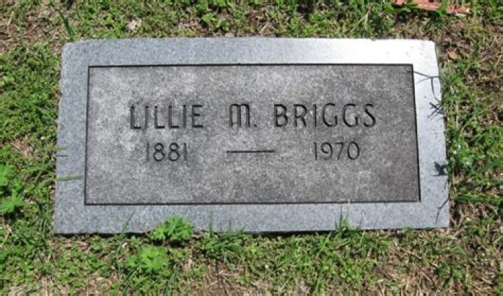Lillie Briggs