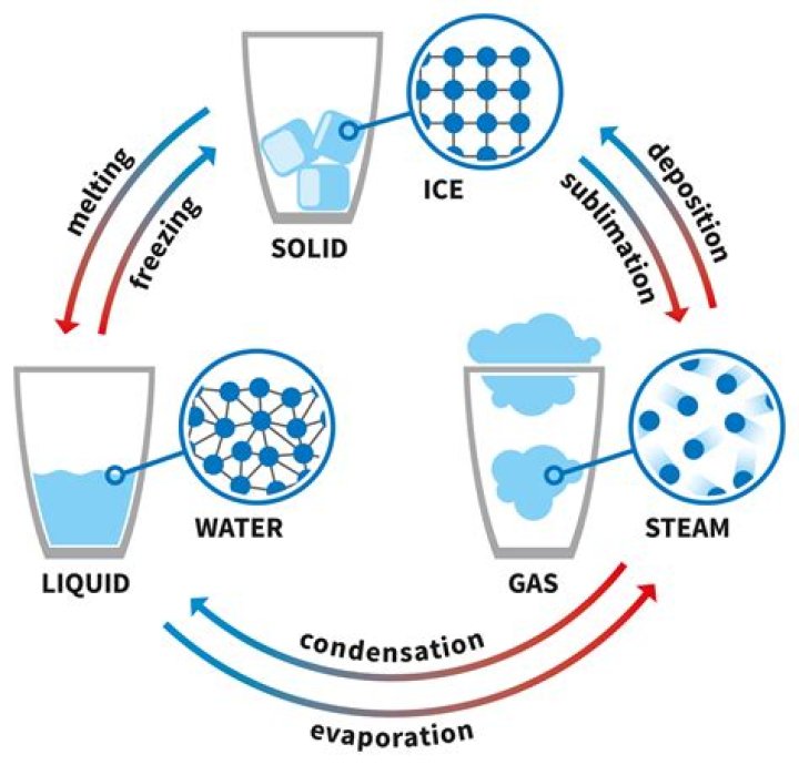 Liquid
