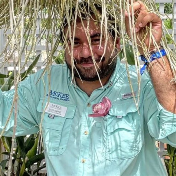 Luis Ortiz