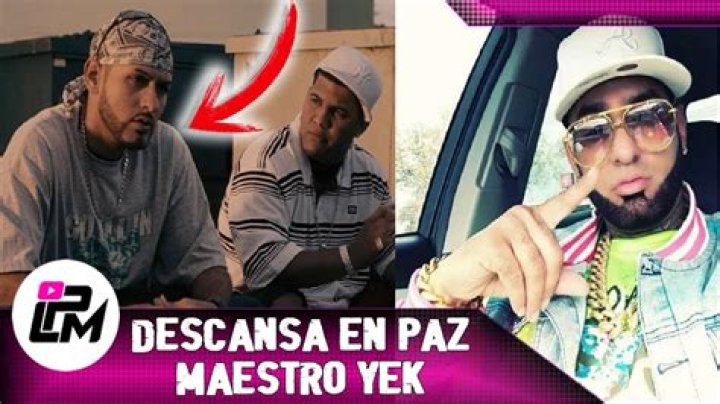 Maestro Yek