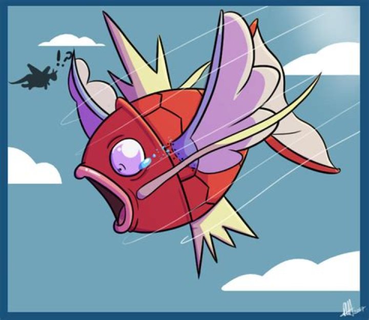 MagikarpUsedFly