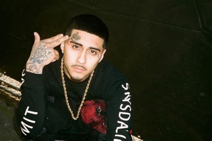 MoneySign Suede
