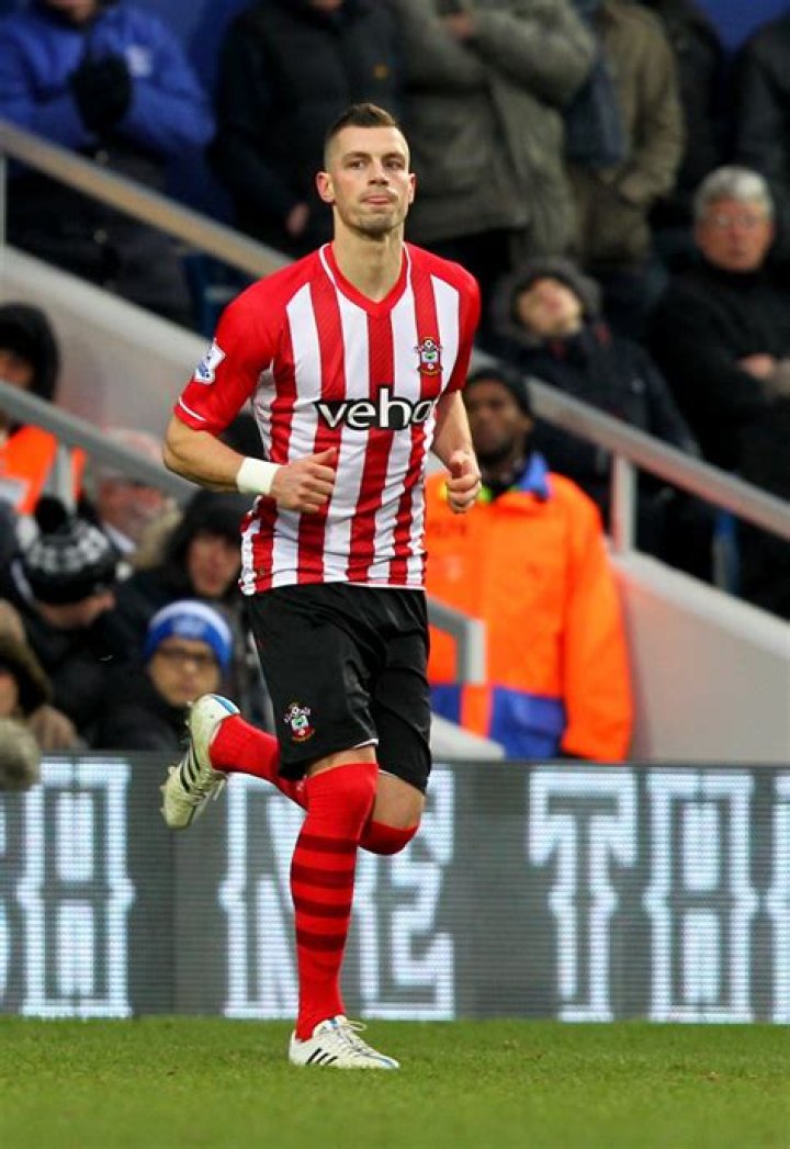 Morgan Schneiderlin