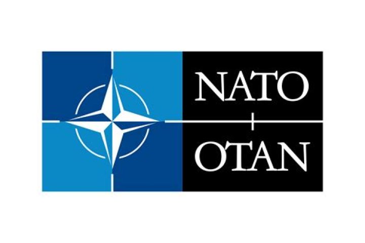n.A.T.o.