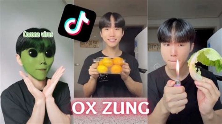 Ox_Zung