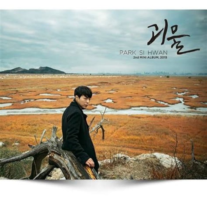 Park Si-hwan