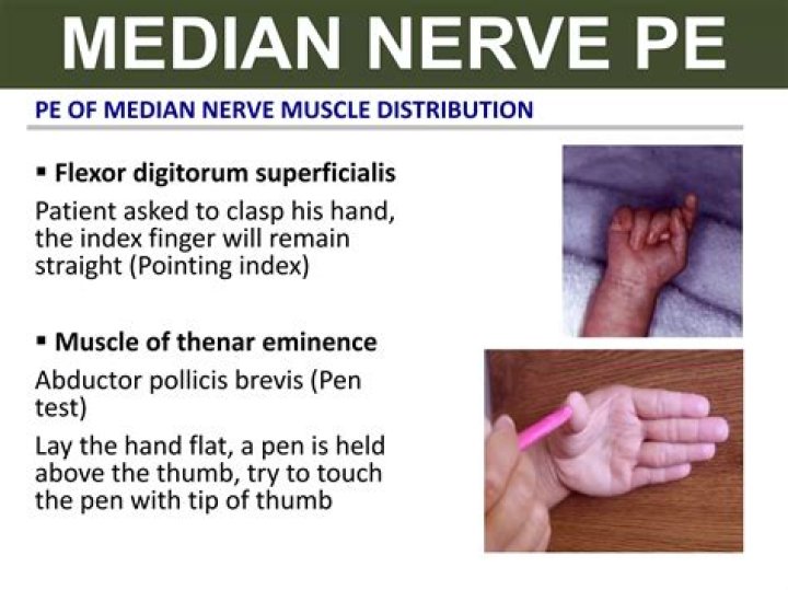 Pen Median