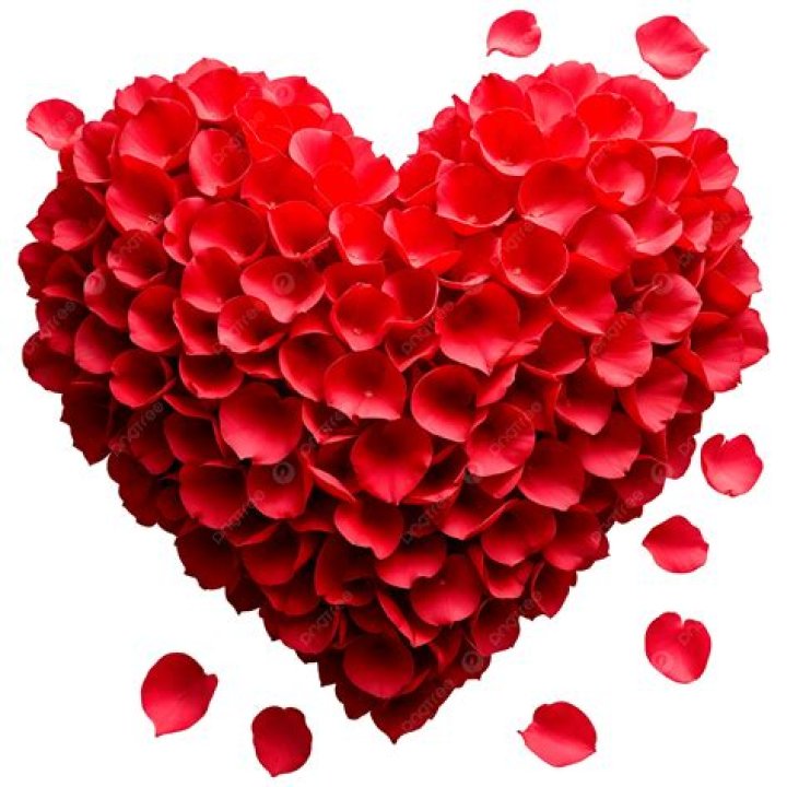 Petal Heart