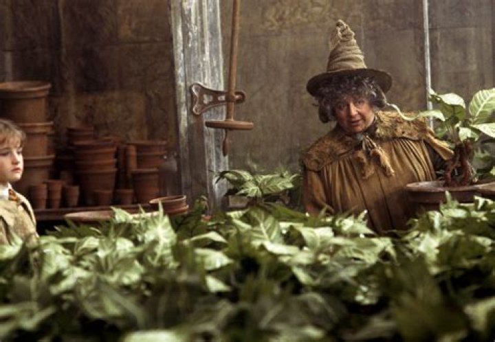 Pomona Sprout