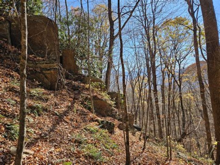 RockyOutcrop