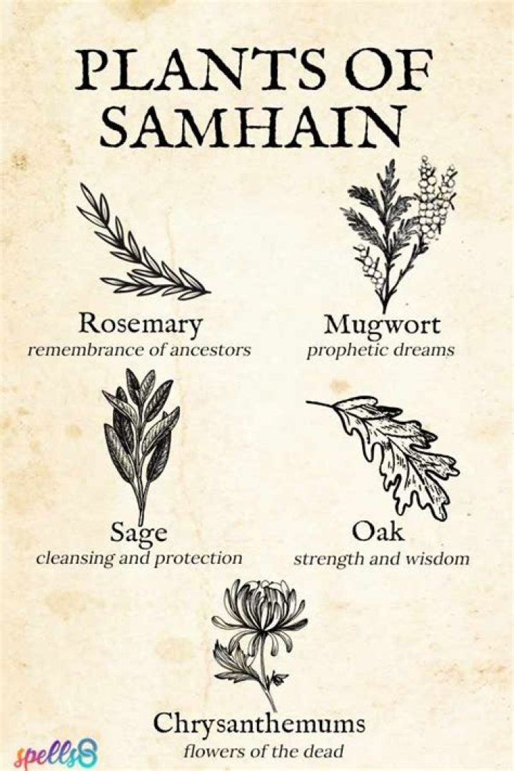 Sam-Hains
