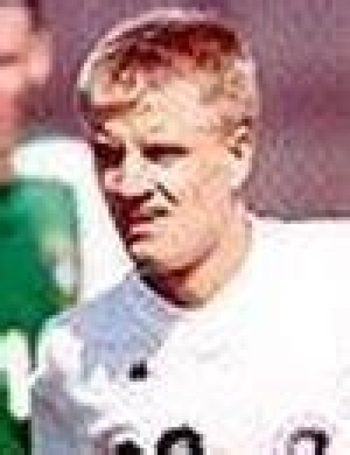 Sasha Gotsmanov
