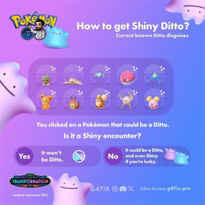 Shiny Says