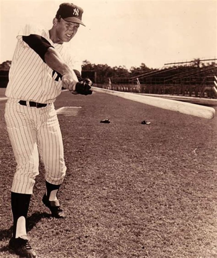 Steve Whitaker